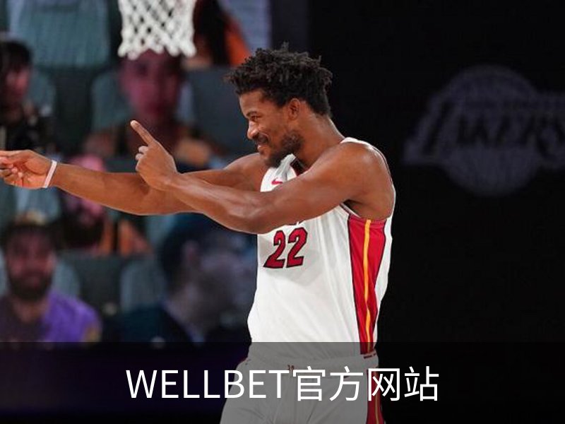 WELLBET官方网站概况